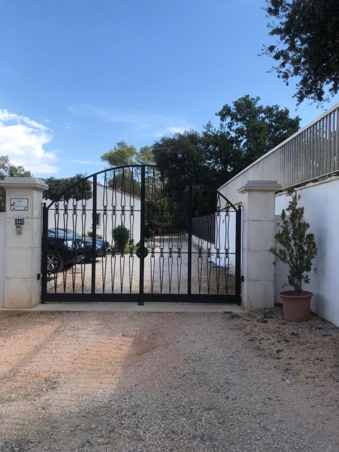 Villa Avec Piscine Privee Non Partagee Camps-la-Source Екстер'єр фото